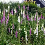 Holiday home Gruenes