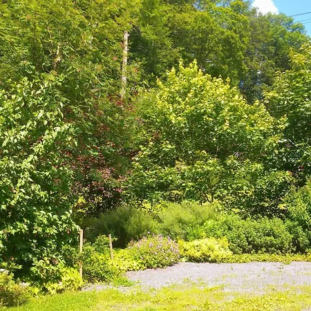 Gruenes Holiday home
