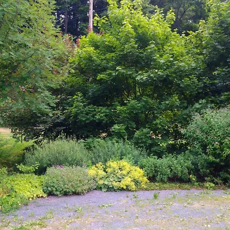 Gruenes Nyaraló Nassau (Saxony)