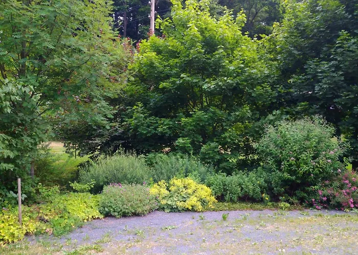 Gruenes Nyaraló Nassau (Saxony)