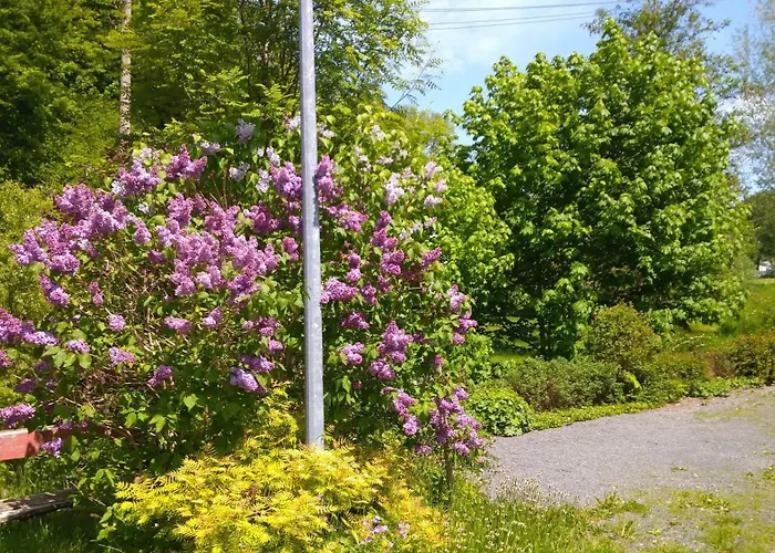 Gruenes Nassau (Saxony)